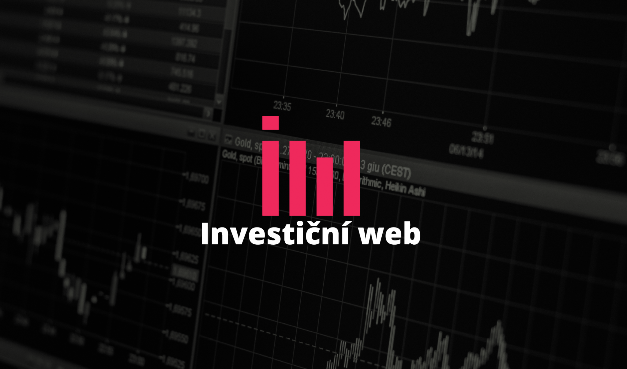 Investiční web